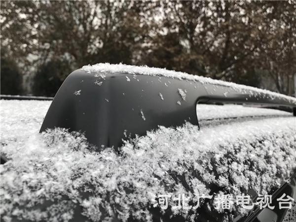 1_4a29c156298543e085ce6d46c9e44581