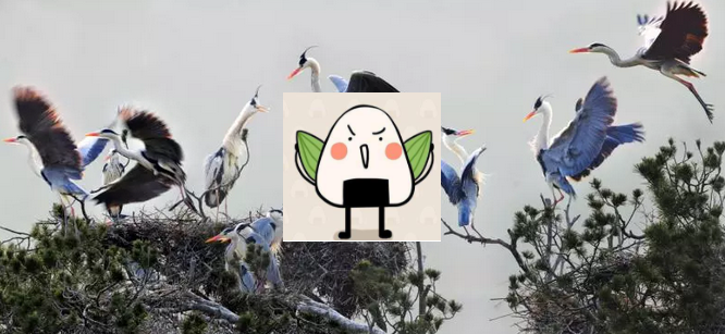 1520589231147.png
